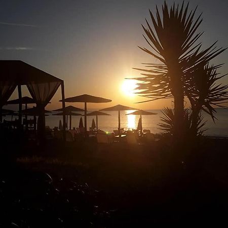 Villa Le Chocolate Vrasná Dış mekan fotoğraf